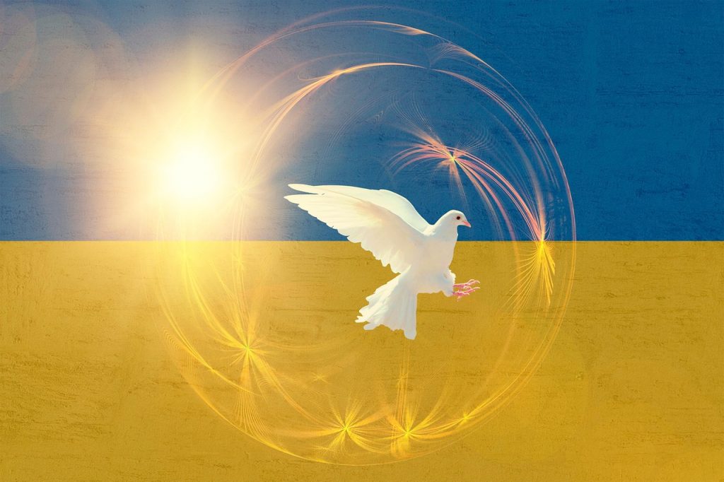 ukraine, ukraine flag, ukranian flag, dove of peace, peace, light, ukraine, ukraine, ukraine, ukraine, ukraine