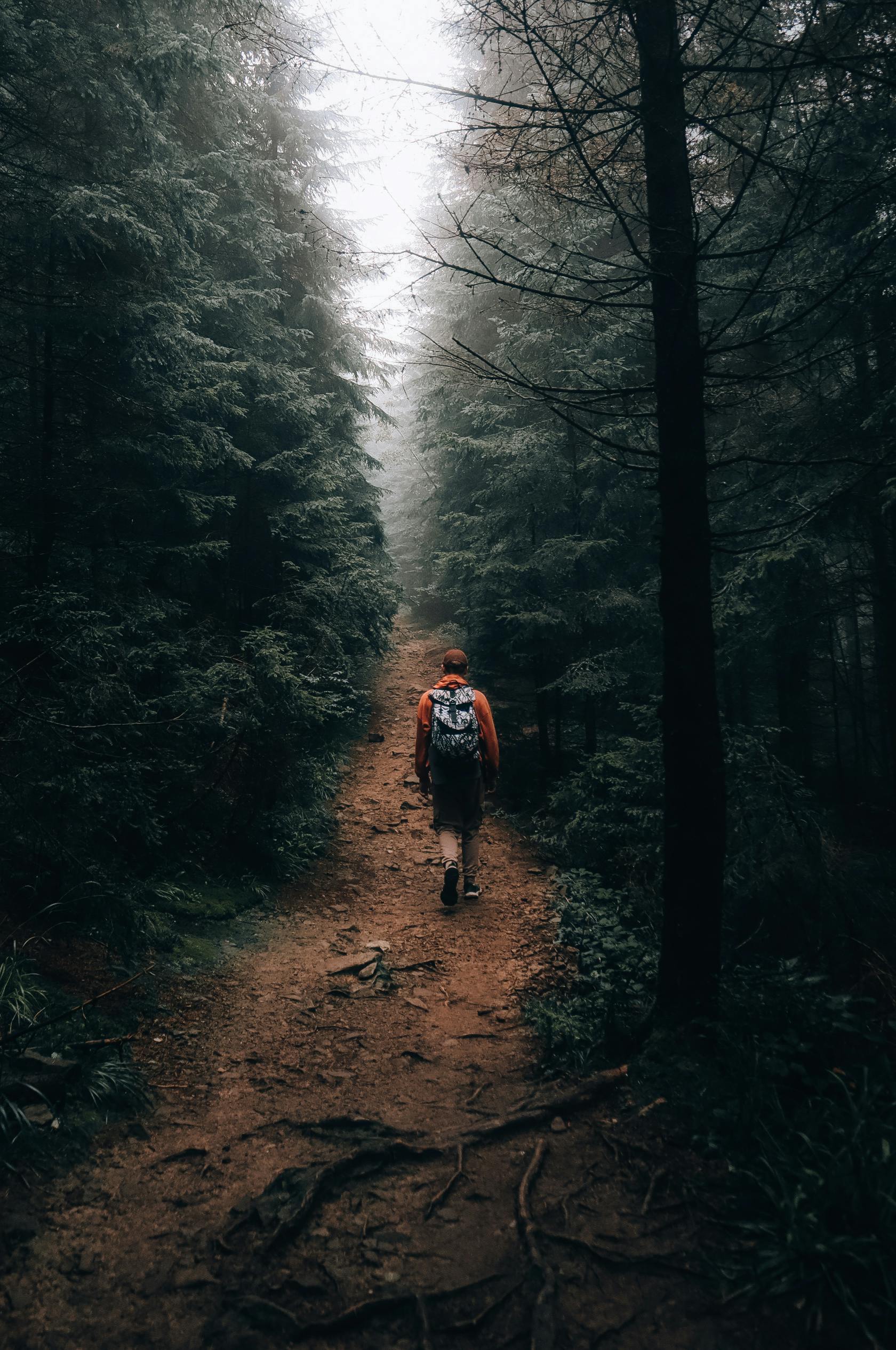 pexels horribils 20276202 pexels horribils 20276202