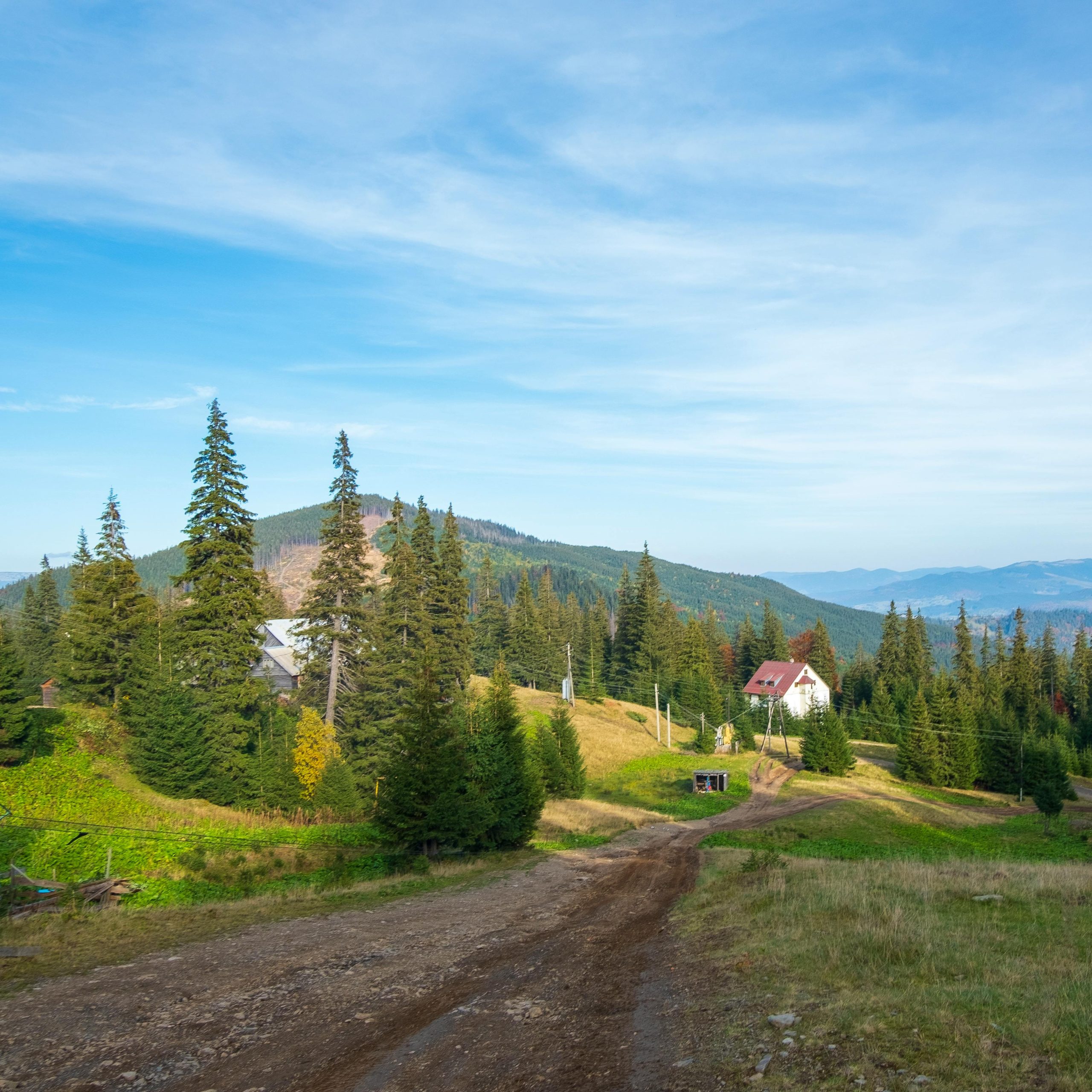 pexels sash2s 16549363 pexels sash2s 16549363